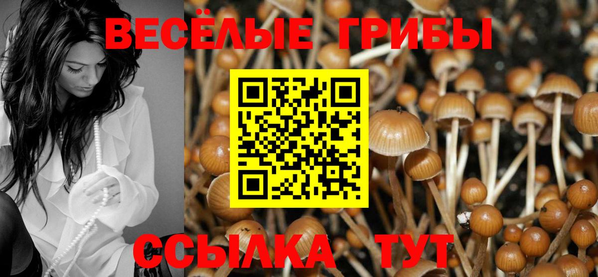 Псилоцибиновые грибы MAGIC MUSHROOMS Арзамас