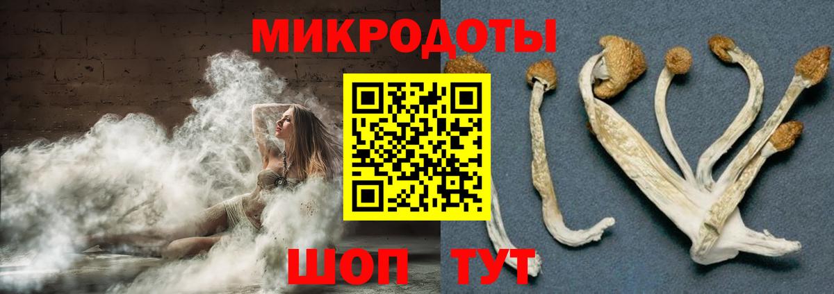 Арзамас  Галлюциногенные грибы ЛСД  где продают наркотики  Вход с VPN  Галлюциногенные грибы Psilocybine cubensis 